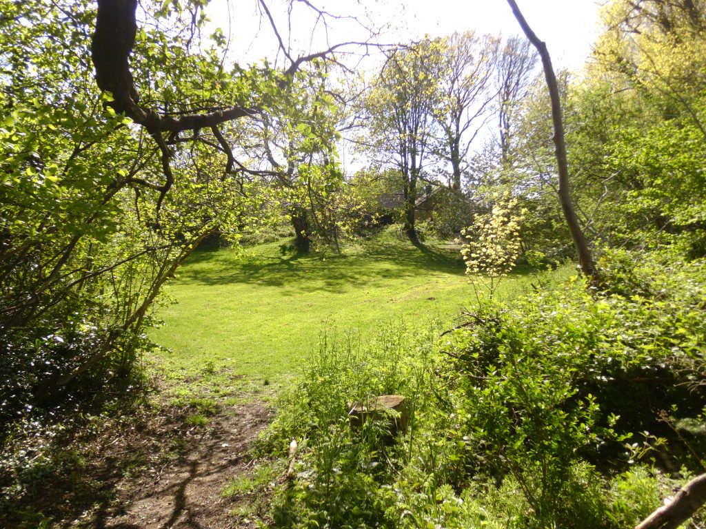 Green space off Dixon Drive