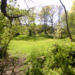 Green space off Dixon Drive
